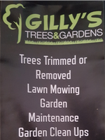 Gilly's Trees &amp; GardensSpecialising in hedges to medium size trees. Insured. Free Quotes. PH:...