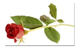 HYAM, Ronald Bruce (Ron)