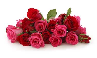 QUALISCHEFSKI (nee BUHSE) Avis Edna