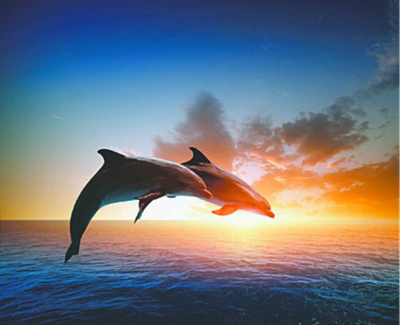 COULTER, Liam Thomas