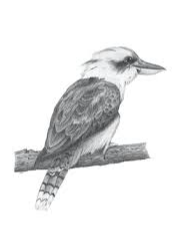 FRENCH (FORMERLY WEBB; NEE ROBINSON), Raelene