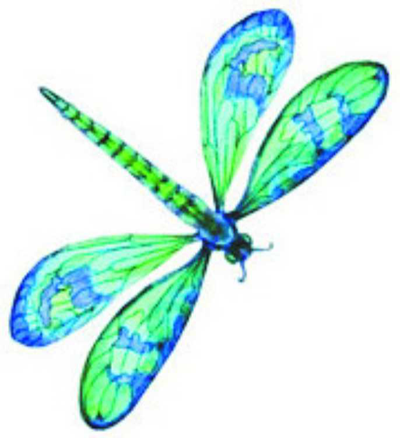 STODDART, Maureen Denise