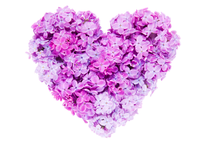 ANDREWS, Stuart James