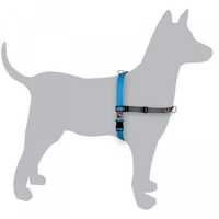 Black Dog Balance Dog Halter with Front & Back attach D-Rings - Small - Blue