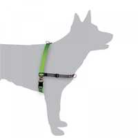 Black Dog Balance Dog Halter with Front & Back attach D-Rings - Small - Green