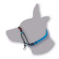 Black Dog Training Head Halter with Chin Clip - Medium - Blue