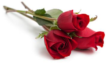 GARLAND, Jennifer Fay