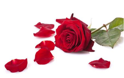 MOLONEY, Eva Margaret