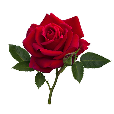 CHARLWOOD, Valerie Joan