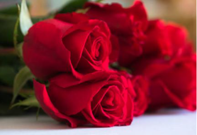 CLARKE, Robert John "Bob"