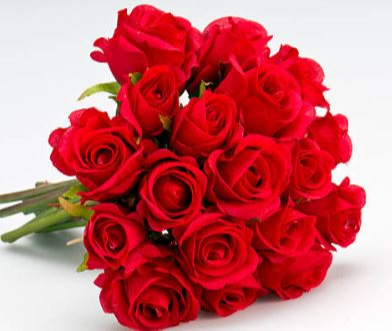 LEE, Maureen Barbara