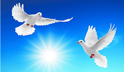 SHANAHAN, Paul Fredrick