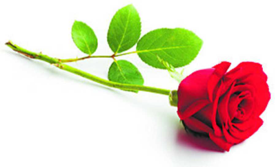 PEARCE, Margaret (Gwen)