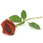 PROKOPUK, Leonid (Lenny)