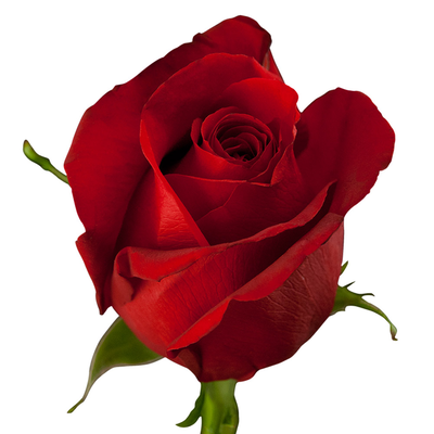 HOMANN (NEE QEW), Betty Joan