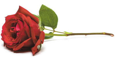 ROWDON, Mellisa Leanne