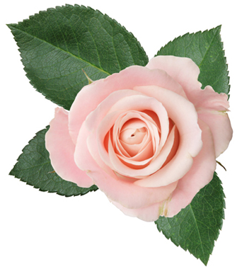 HOWLETT, Jean Leslie