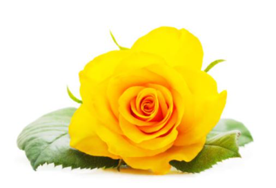 MCDONALD, Christine Ann