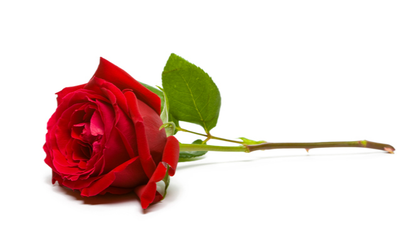 CASTINE (NEE RAPSON), Carlene Annette