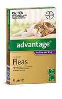 Advantage Spot-On Flea Control Treatment for Cats over 4kg - 4-Pack