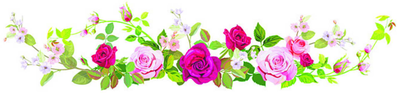 WILLIAMS, MARLENE SANDRA