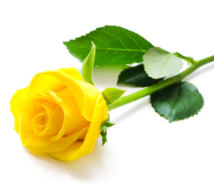 BUTLER, Desley Joy
