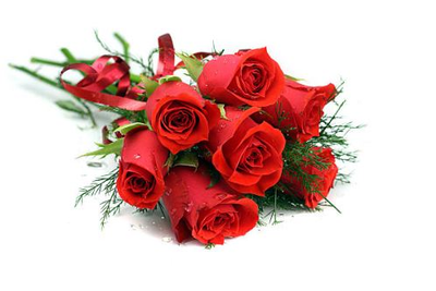 VERDINO, Rosa