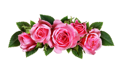 WALSH, Kathy Veronica