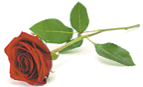 BRODIE, Raymond Edward