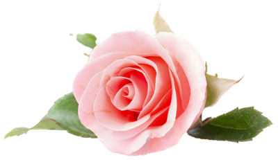 KOTT (NEE GARDNER), Barbara Anne