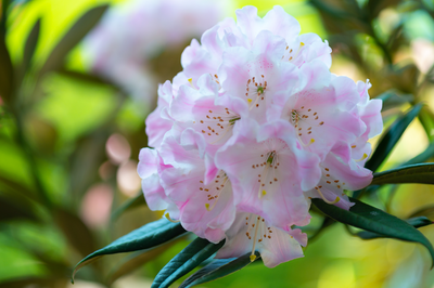 WINTERTON, Noreen Marie