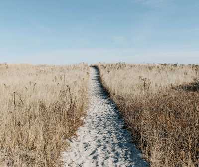 WELLHAM, Amy Isabella