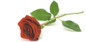DINAN, Janice Margaret Dorothy