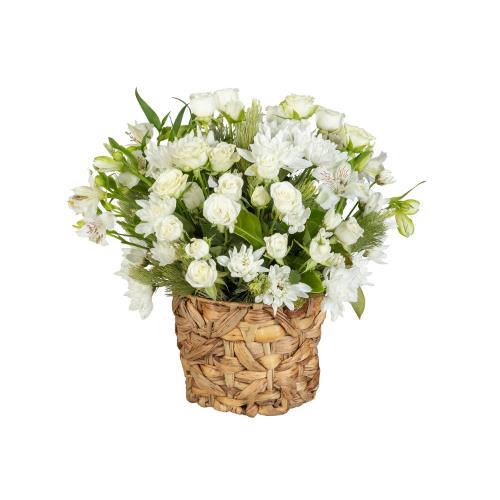 
	This petite white rose flower arrangement in a basket features varying tones of white blooms with...