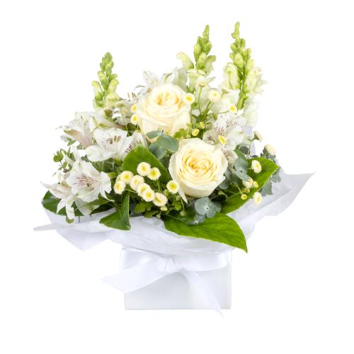 
	This stunning posy in a box exudes elegance and sophistication. It features exquisite white roses...