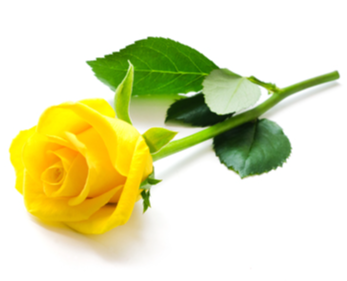 BAXTER, Shirley Dawn