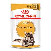 Royal Canin Maine Coon Adult Wet Cat Food Pouches 48 X 85g Pet: Cat Category: Cat Supplies  Size: 4.6kg...