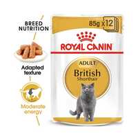 Royal Canin British Shorthair Wet Cat Food Pouches 48 X 85g Pet: Cat Category: Cat Supplies  Size: 4kg...