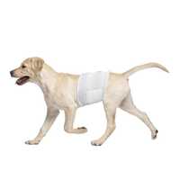 Pawise Disposable Wrap Large Pet: Dog Category: Dog Supplies  Size: 0.5kg 
Rich Description: The Pawise...