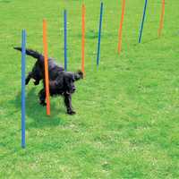 Pawise Agility Poles Each Pet: Dog Category: Dog Supplies  Size: 3.1kg 
Rich Description: Perfect for...