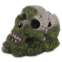 Kazoo Skull With Moss And Air Each Pet: Fish Category: Fish Supplies  Size: 0.4kg 
Rich Description:...