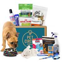 Better Puppy Bundle Pet: Dog Category: Dog Supplies  Size: 3kg 
Rich Description: Bring Your New Puppy...