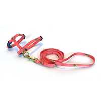 Anipal Bertie The Bee Cat Harness And Lead X Small Pet: Cat Category: Cat Supplies  Size: 0.1kg 
Rich...