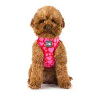 Dgg Easy Walker Harness Love X Small Pet: Dog Category: Dog Supplies  Size: 0.1kg 
Rich Description:...