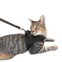 Havapet Cat Harness And Leash Large Pet: Cat Category: Cat Supplies  Size: 0.1kg Colour: Black 
Rich...