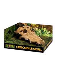 Exo Terra Crocodile Skull Each Pet: Reptile Category: Reptile &amp; Amphibian Supplies  Size: 0.3kg 
Rich...