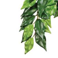 Exo Terra Forest Plant Ficus Small Pet: Reptile Category: Reptile &amp; Amphibian Supplies  Size: 0kg 
Rich...