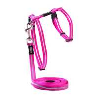 Rogz Alleycat Harness Lead Pink 11mm Pet: Cat Category: Cat Supplies  Size: 0.1kg 
Rich Description:...