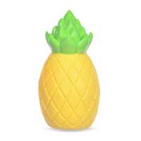 Wags And Wiggles Pineapple Floatable Tpr Dog Toy Each Pet: Dog Category: Dog Supplies  Size: 0.2kg...