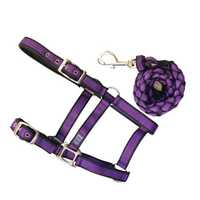Anipal Comfort Horse Halter And Lead Autumn Lilac X Full Size Pet: Horse Size: 0.7kg Colour: Jewel...